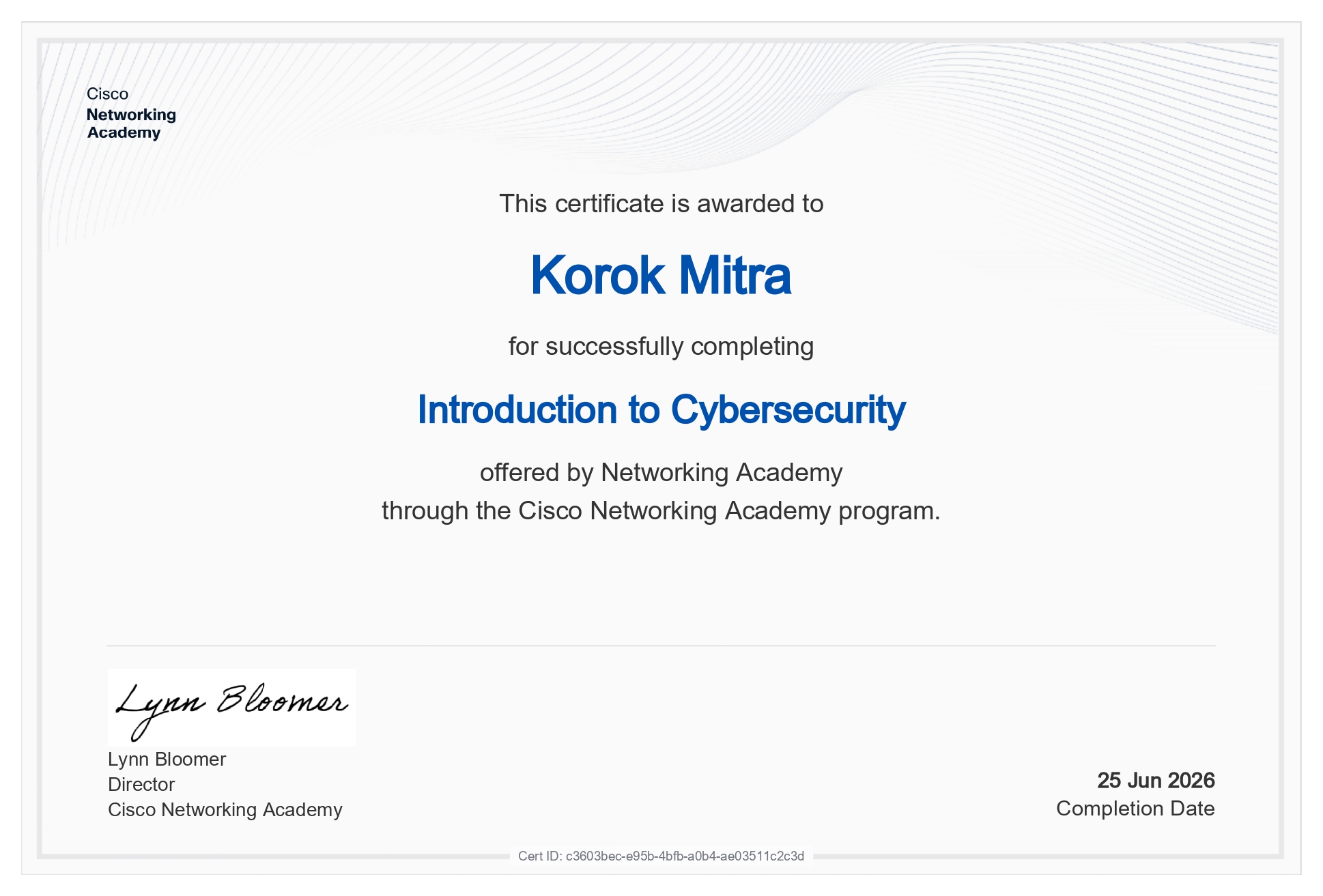 Introduction to Cybersecurity Certificate preview